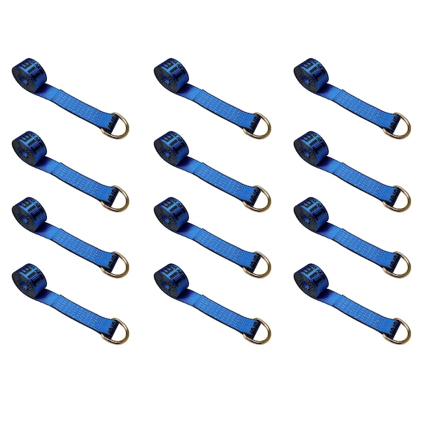 2" x 10' Lasso Strap w/ D Ring Auto Tie Down Wheel Lift Tow Truck Trailer, 12PK